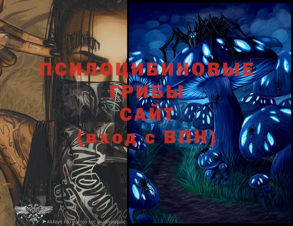 бошки Елизово