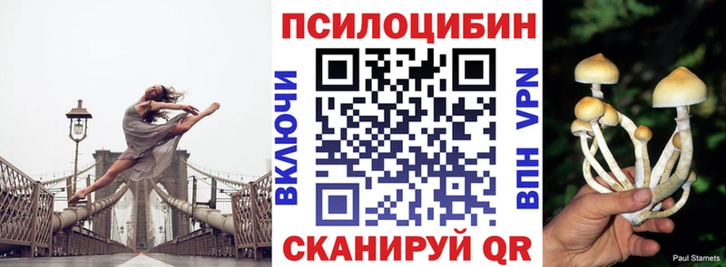 Галлюциногенные грибы Psilocybine cubensis  Купить  Наро-Фоминск 